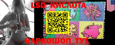 СК Донецк