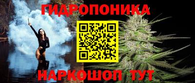 СК Донецк