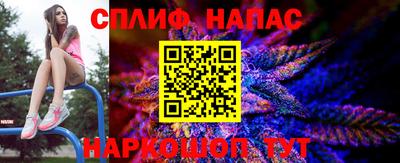 СК Донецк