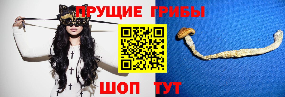 Магадан  Псилоцибиновые грибы Psilocybe  закладка  Вход с VPN 